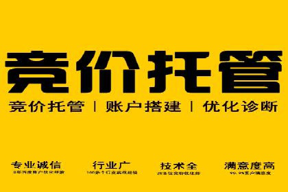 竞价排名关键词优化技巧解析